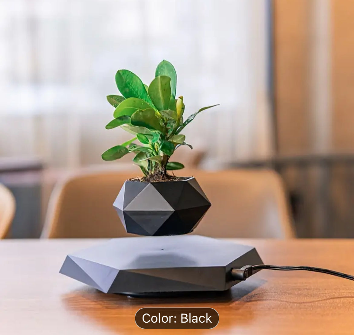 Mini Floating Planter