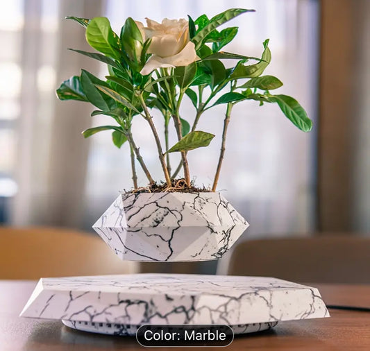 Mini Floating Planter